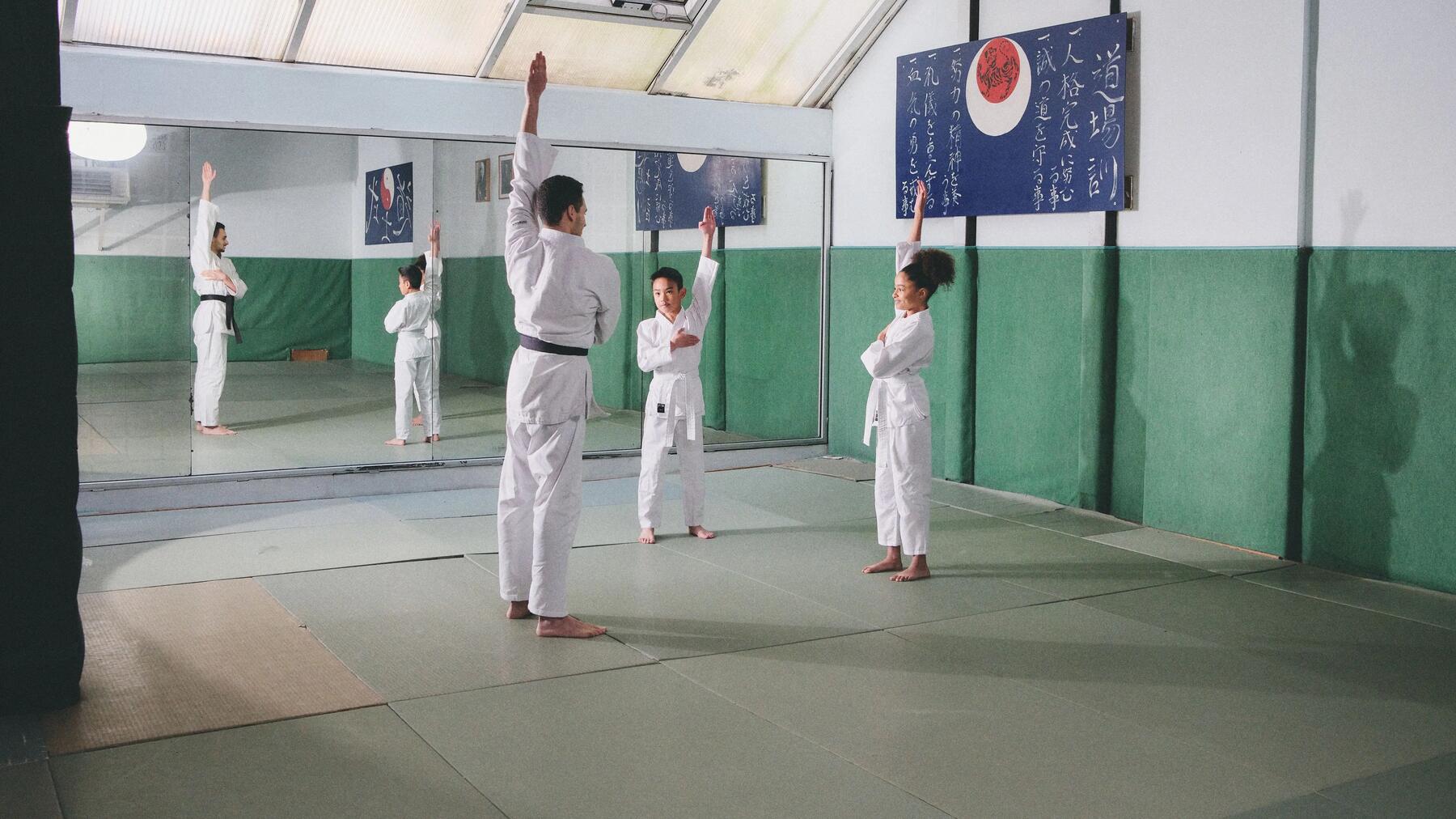 Judo und Karate Unterschiede in Technik, Philosophie und Training