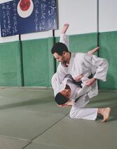 Armes de judo