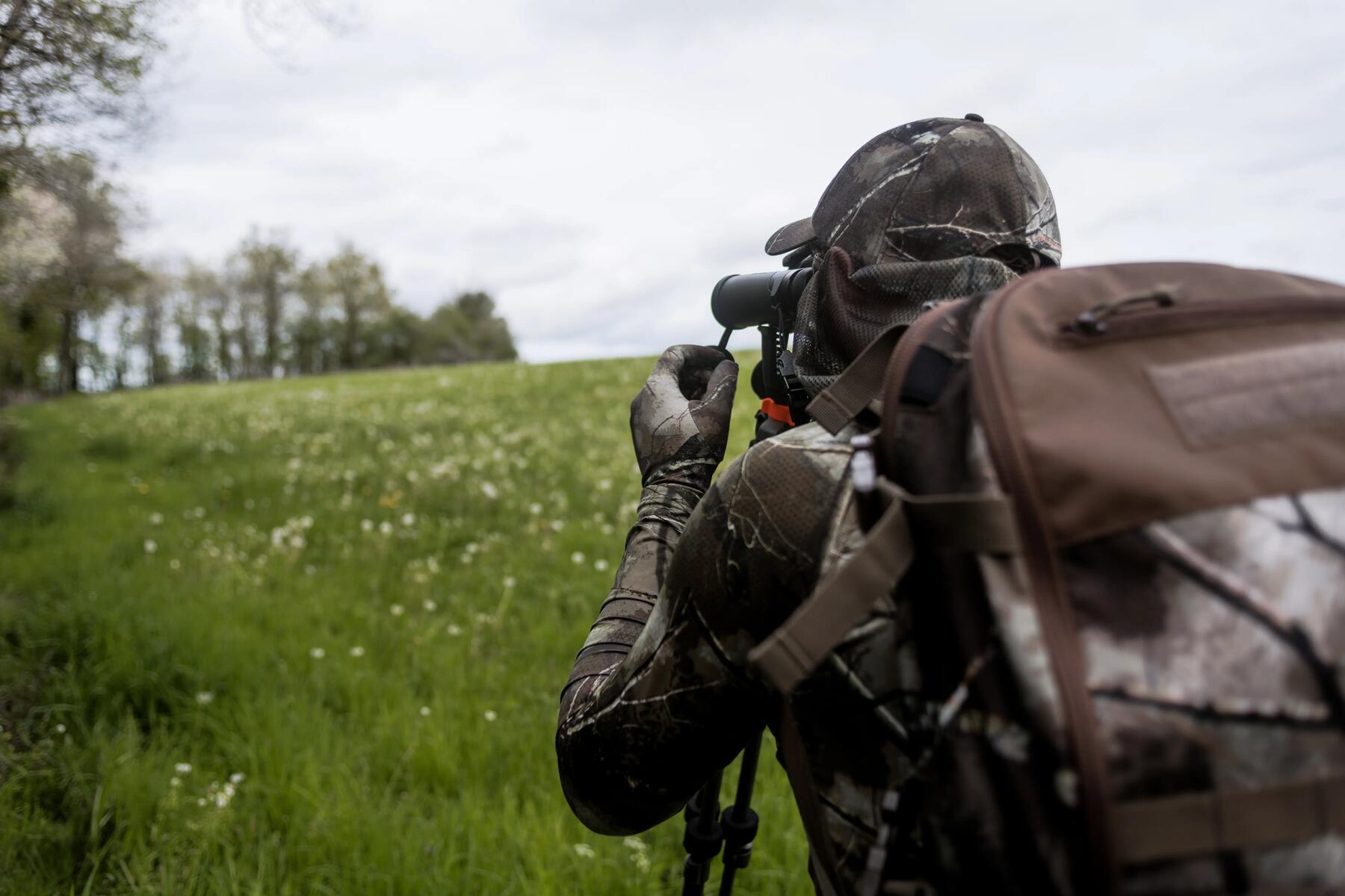 Solognac, chasse du petit et du grand gibier