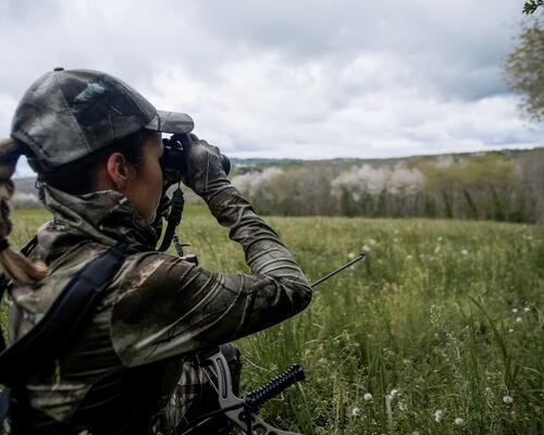 Astuces pour voir des animaux à la chasse à l'approche