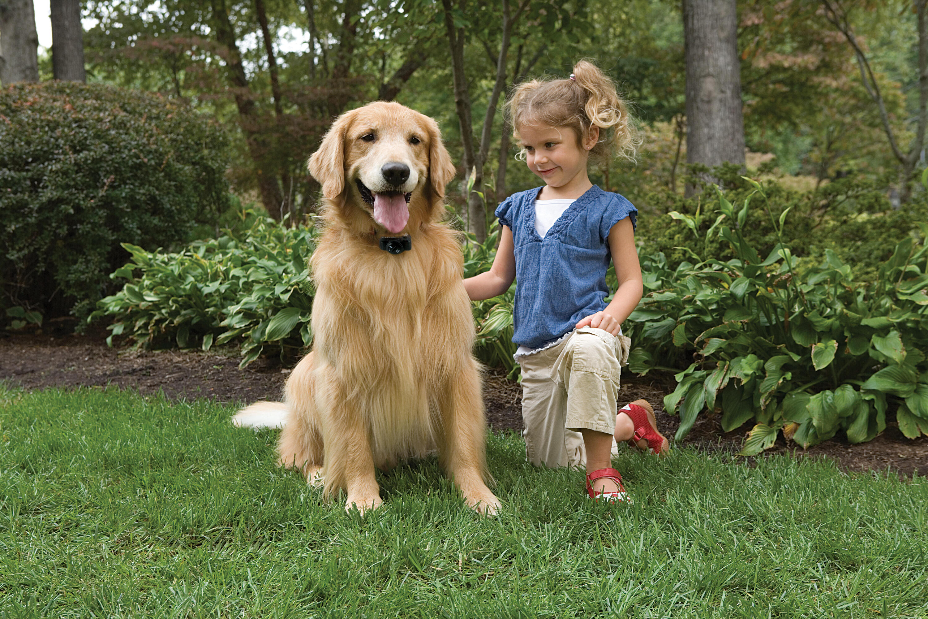 Valla Antifugas Perro PetSafe Invisible Básica 2 Ha 7/7