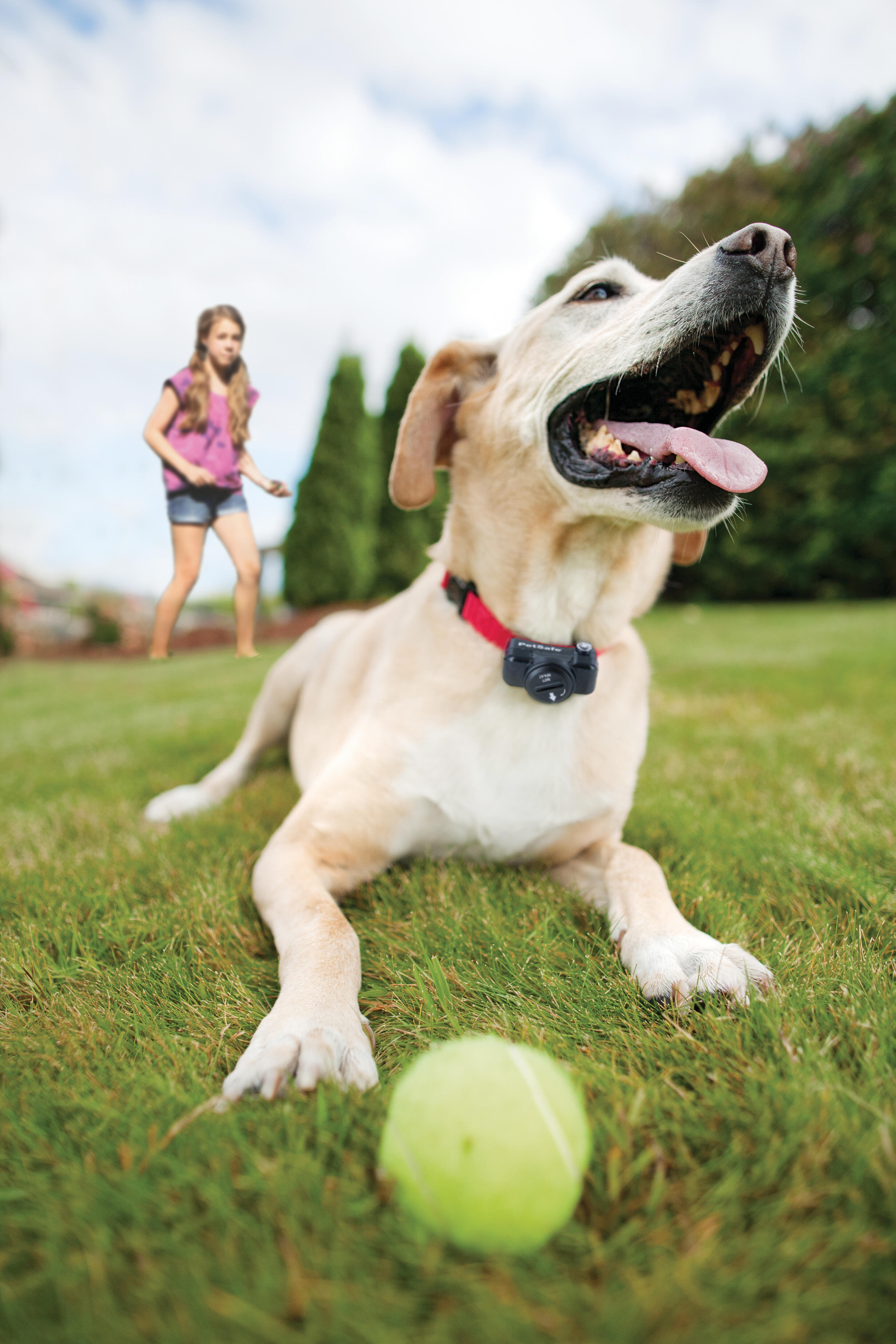 Valla Antifugas Perro PetSafe Invisible Básica 2 Ha 3/7