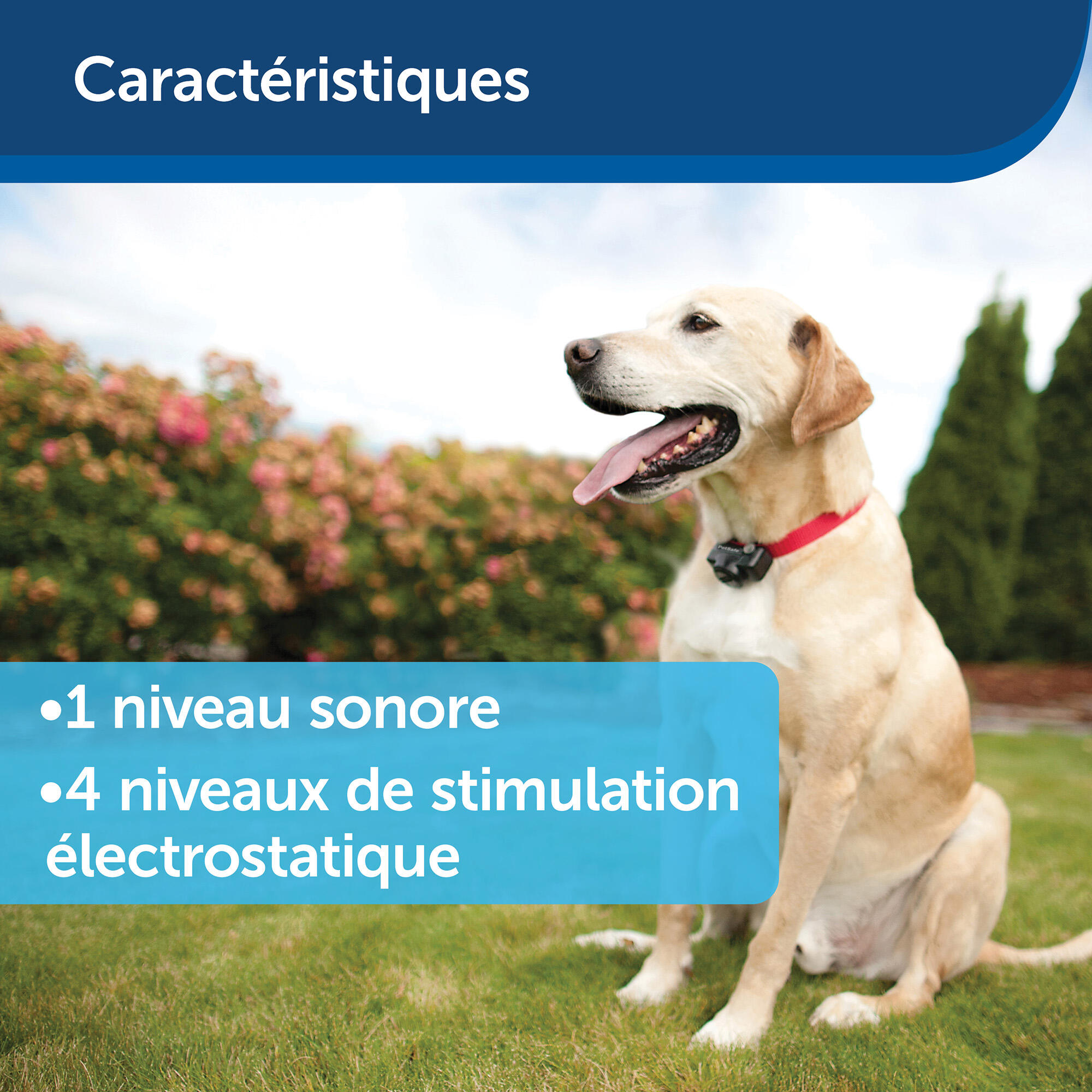 Seconde vie - Clôture anti-fugue invisible pour chien Petsafe 9/15