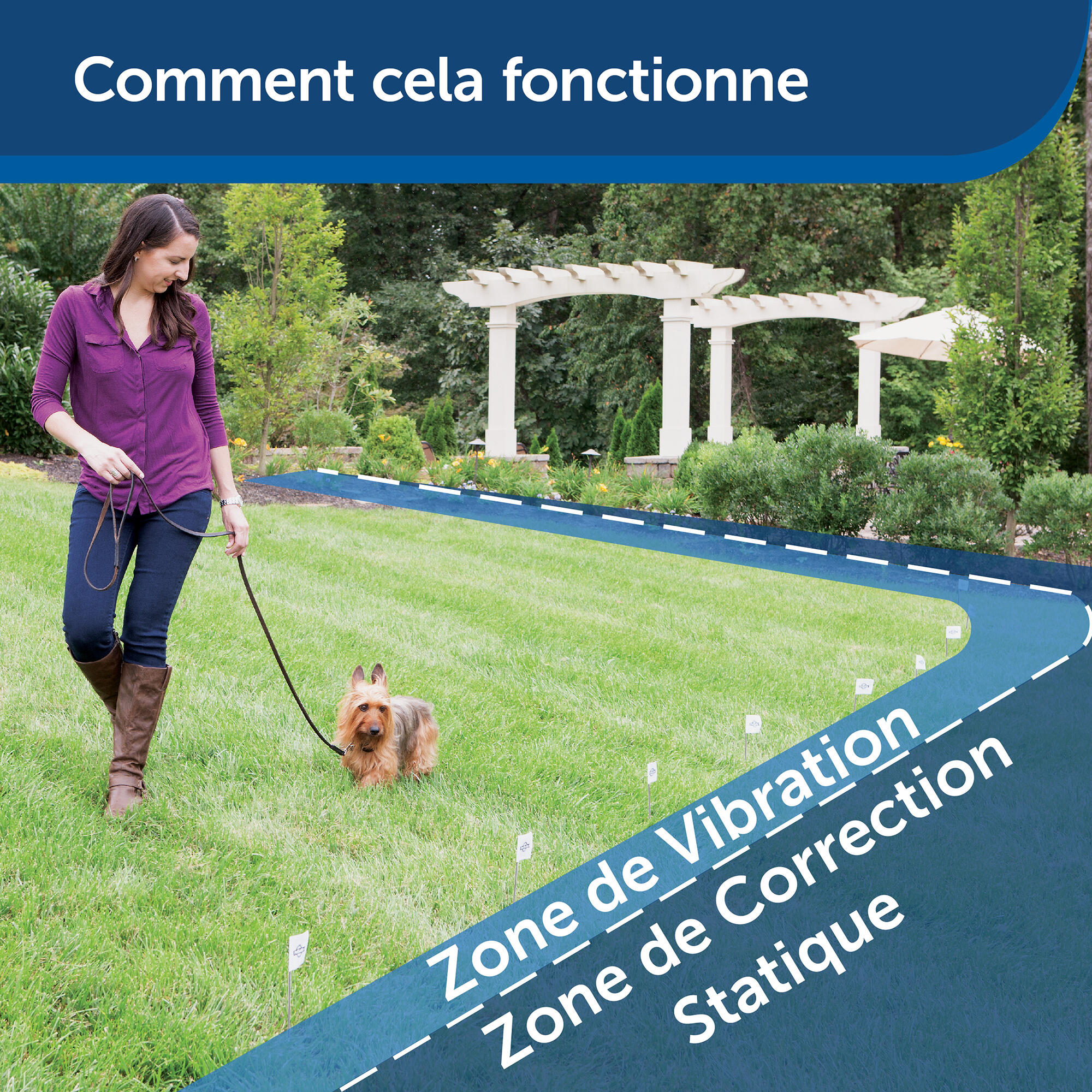 Seconde vie - Clôture anti-fugue invisible pour chien Petsafe 5/15