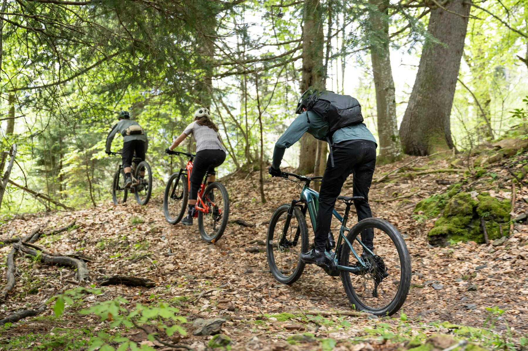 Top 9 des meilleurs sentiers de vélo de montagne à Calgary