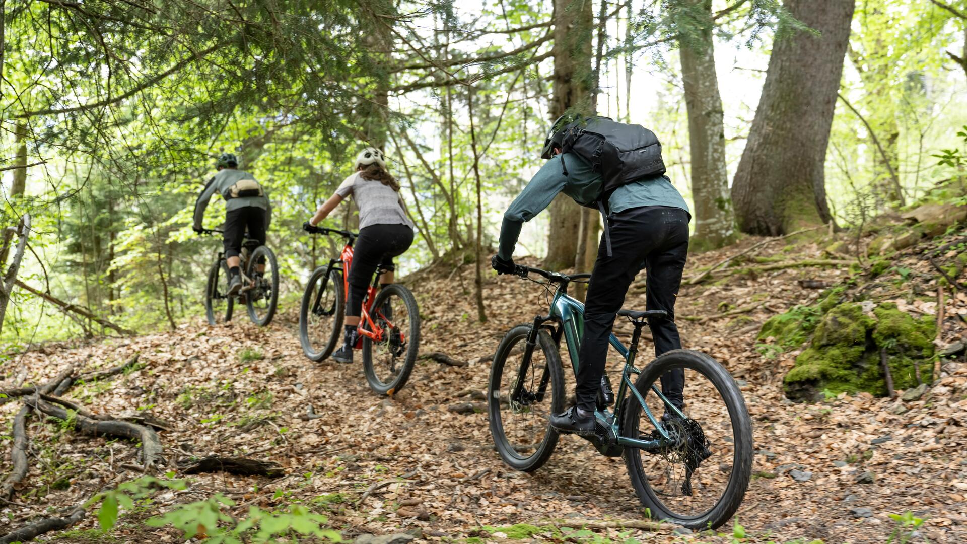 MTB ROCKRIDER ST 100 GRAU
