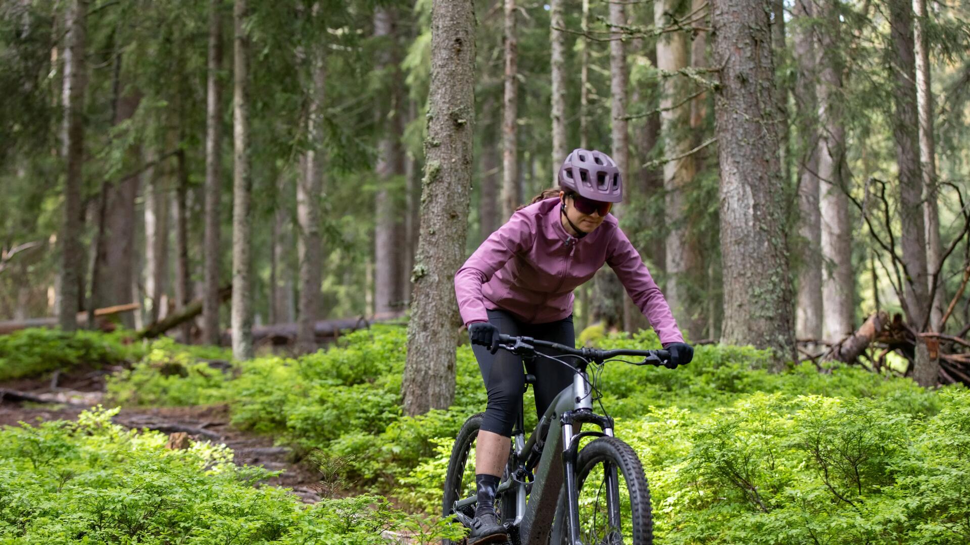 Vélo VTT électrique Randonnée E-EXPL 500S 29"