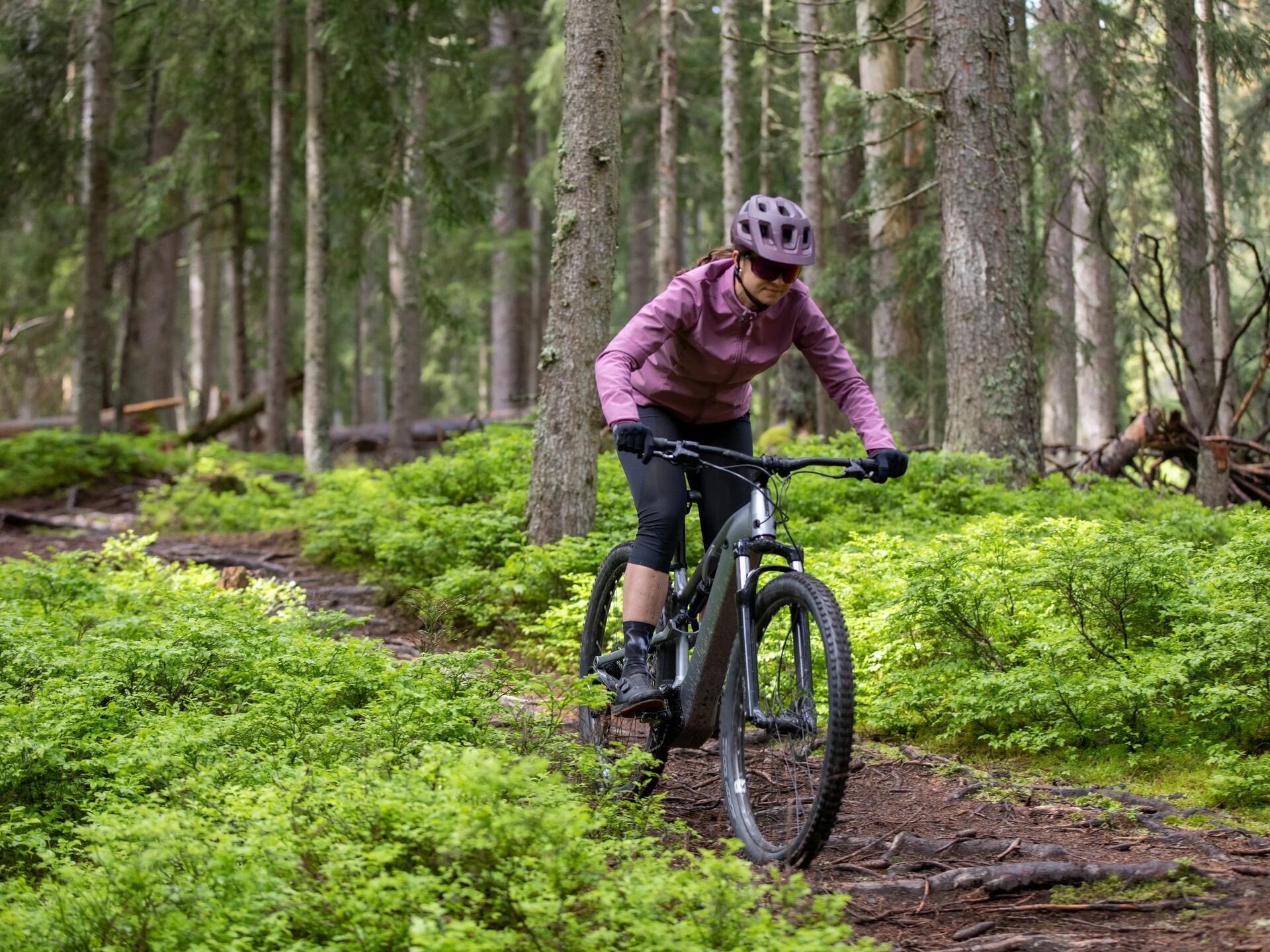 Vélo VTT électrique Randonnée E-EXPL 500S 29"