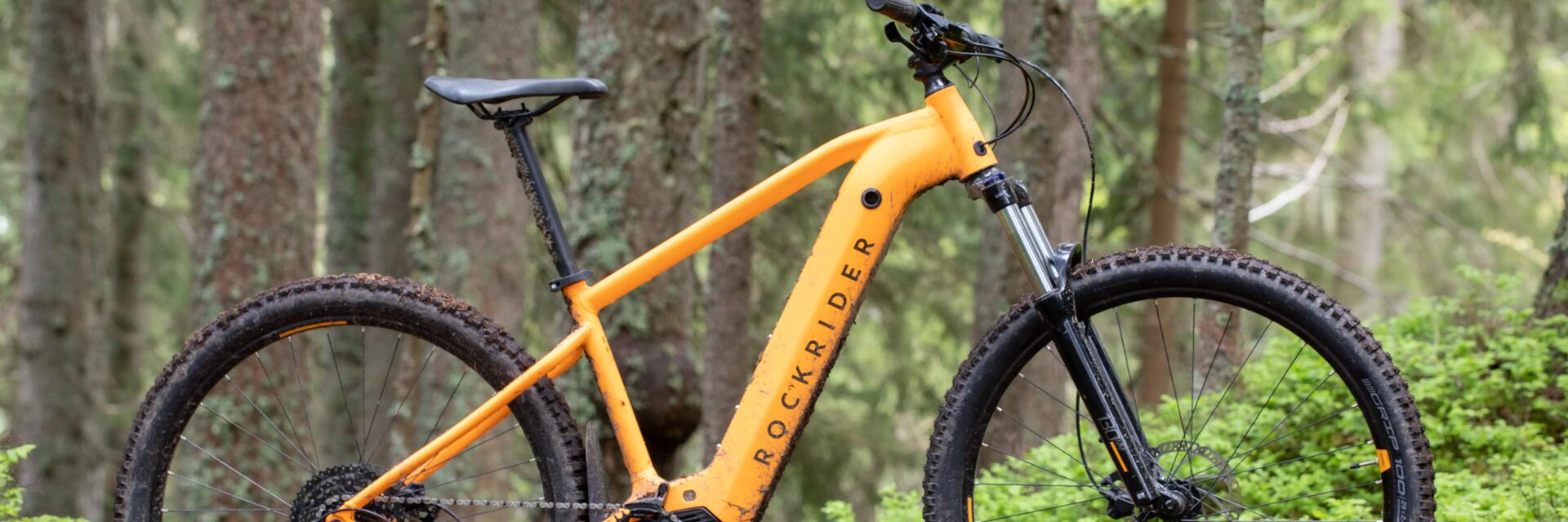 Rower elektryczny mtb stojący w lesie