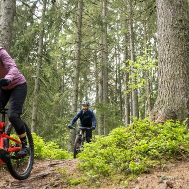 Mtb calidad precio sale