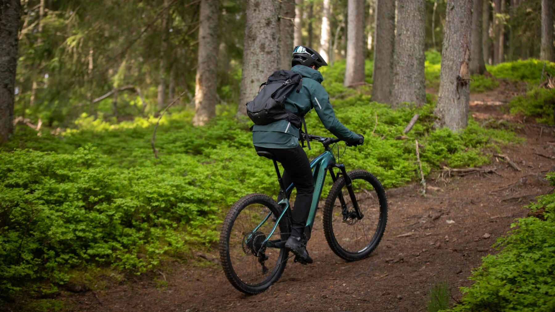 Im Wald Defäkieren! Hier erfährst du alles Wissenswerte!