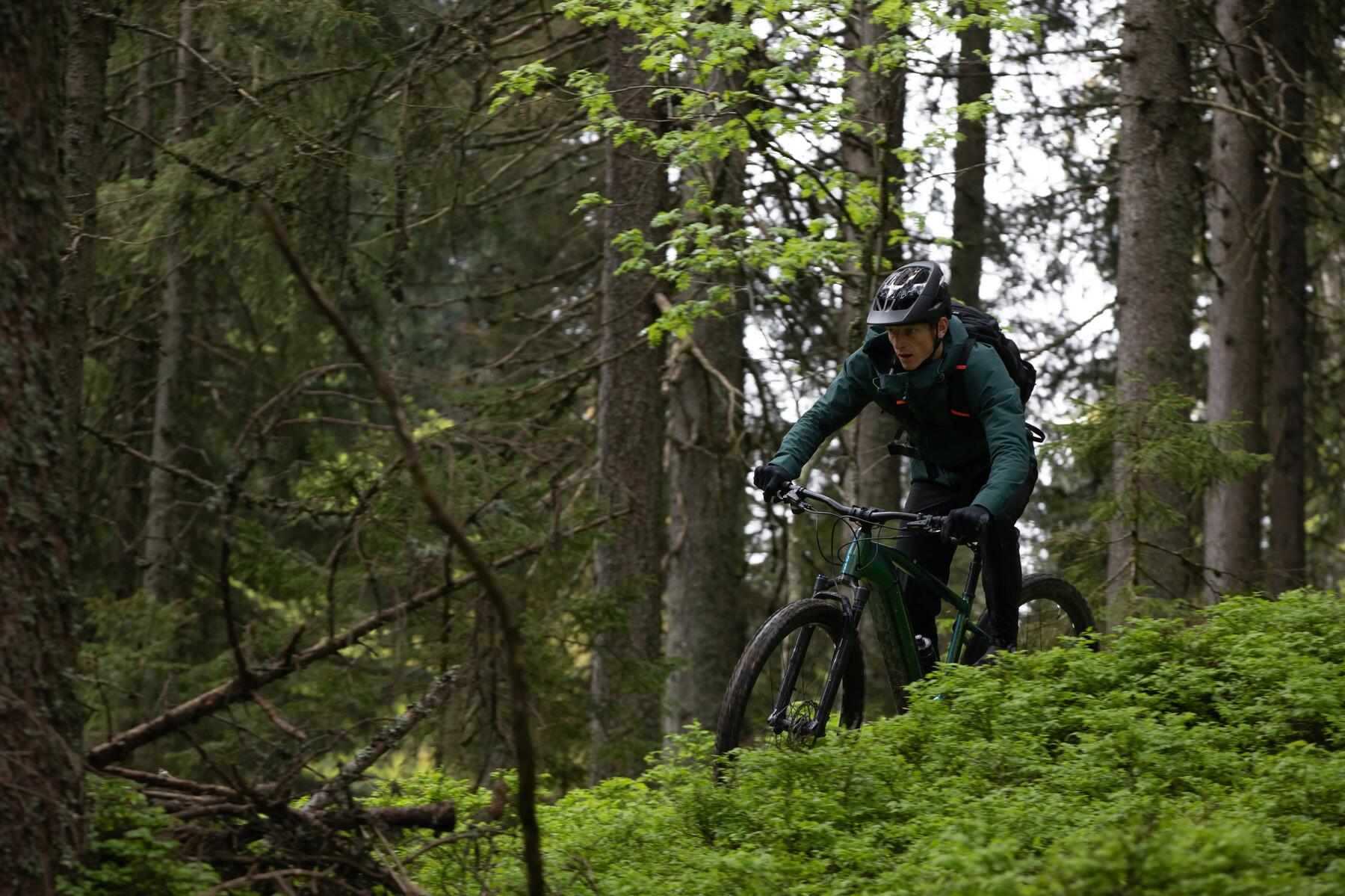 Top 9 des meilleurs sentiers de vélo de montagne à Calgary