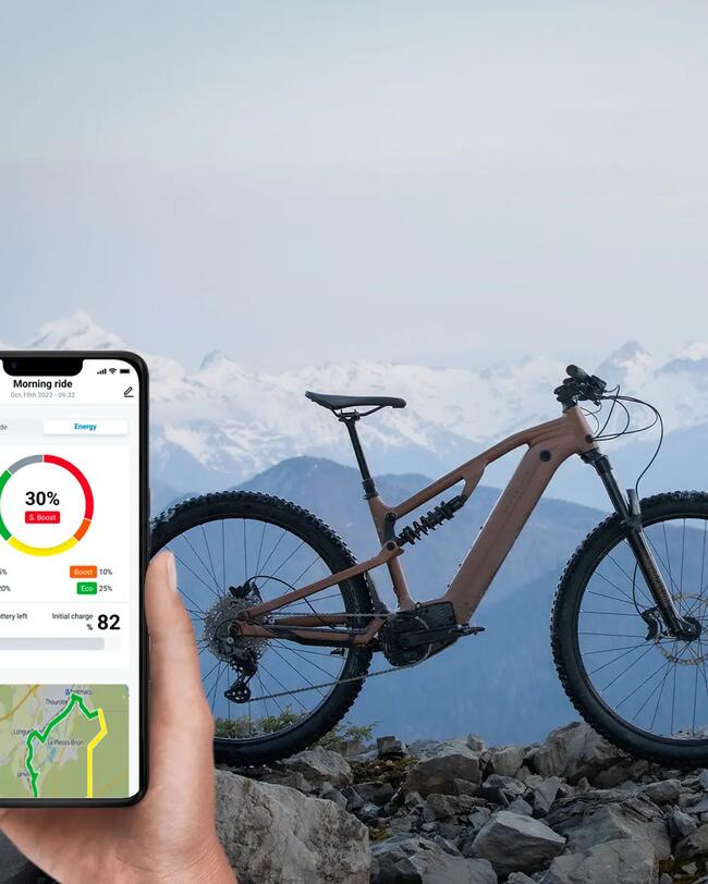 Elektro-Mountainbike Fully 29" – E-EXPL 700 S Kupfer