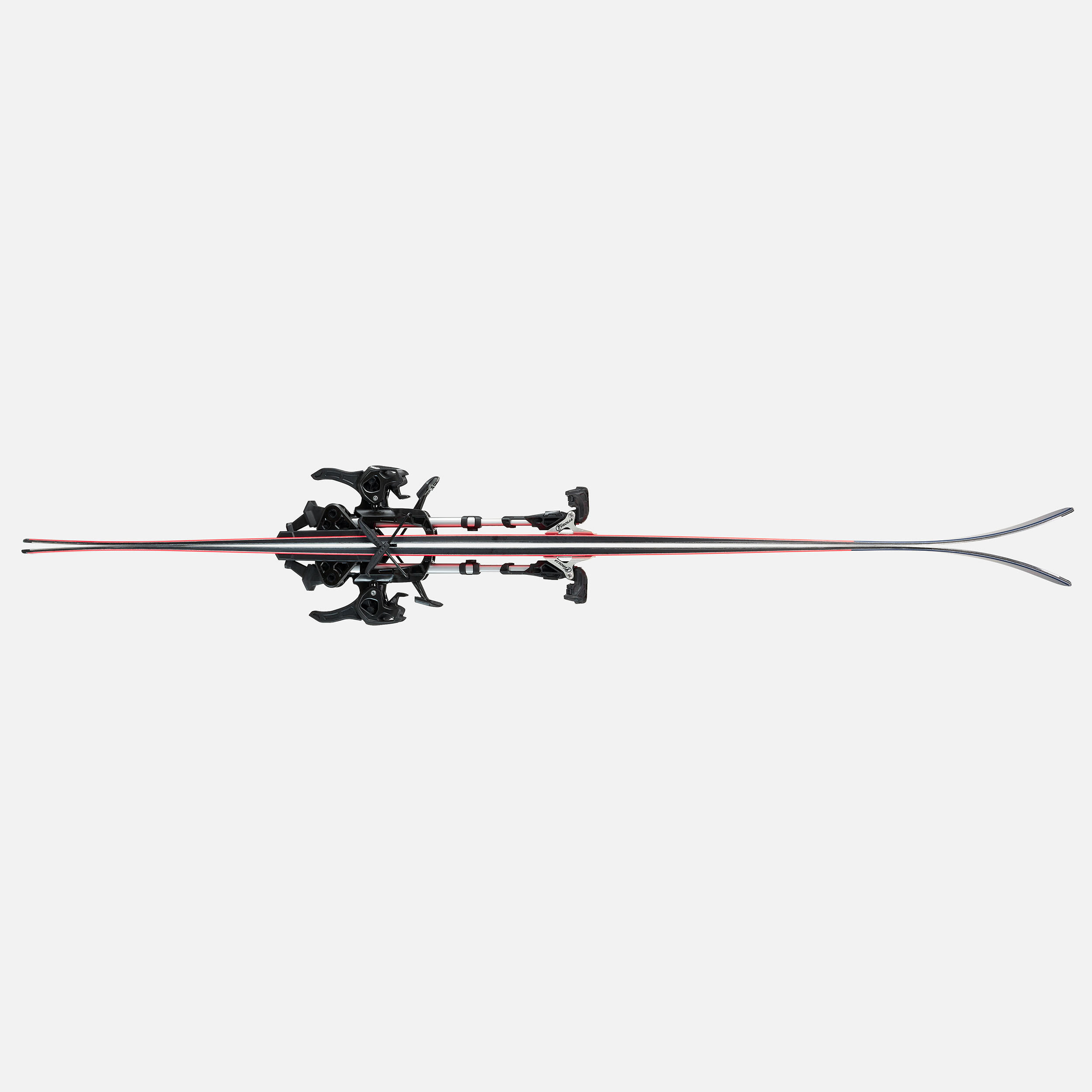Touring Skis with Tyrolia Ambition 10 Bindings and Skins, Cruiser 80 - WEDZE