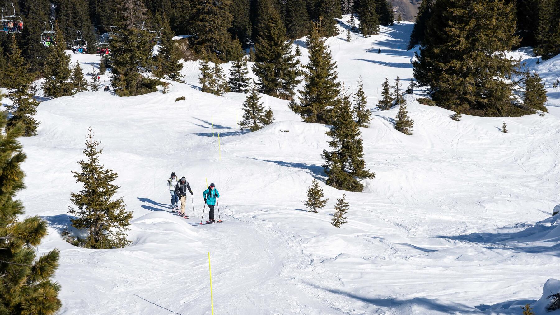 Mehr Fahrspaß dank richtiger Pflege deiner Skier!