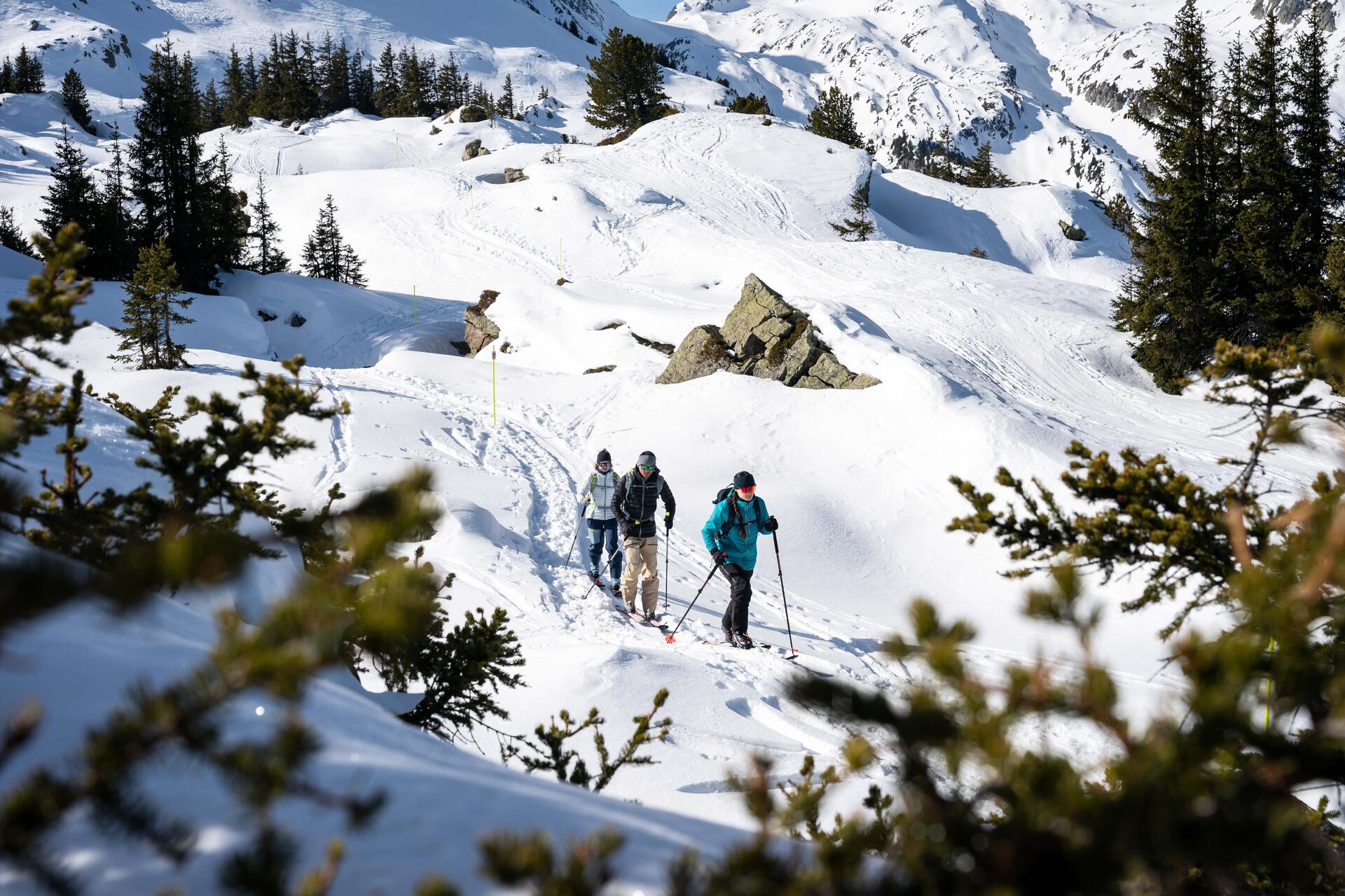 Comment choisir ses peaux de phoque de ski de randonné