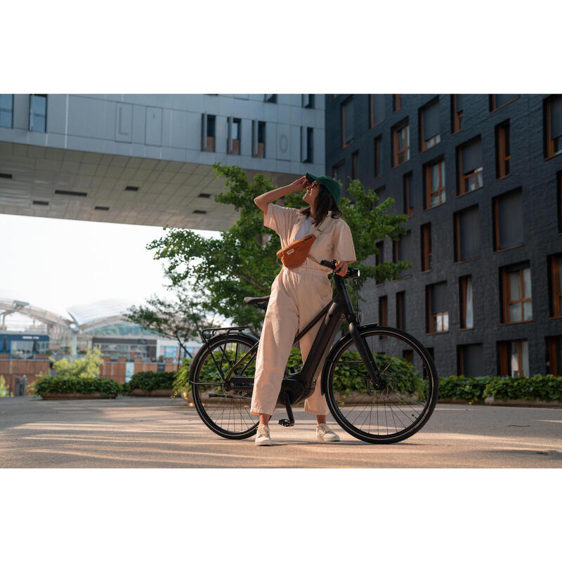 Elektrische stadsfiets met automatische Owuru versnelling LD 920E laag frame