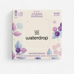 Microdrink boost 12x500ml