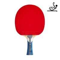 School Table Tennis Bat TTR 100 3* All-Round