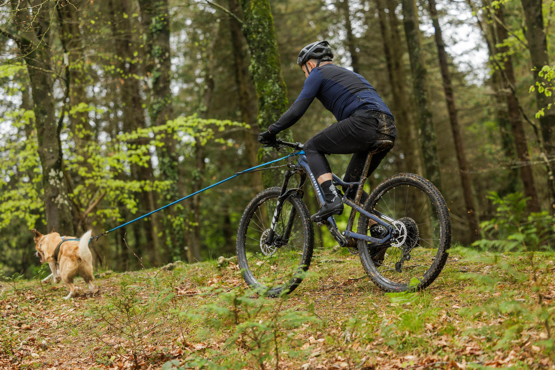 Mężczyzna trenujący z psem bikejoring po lesie