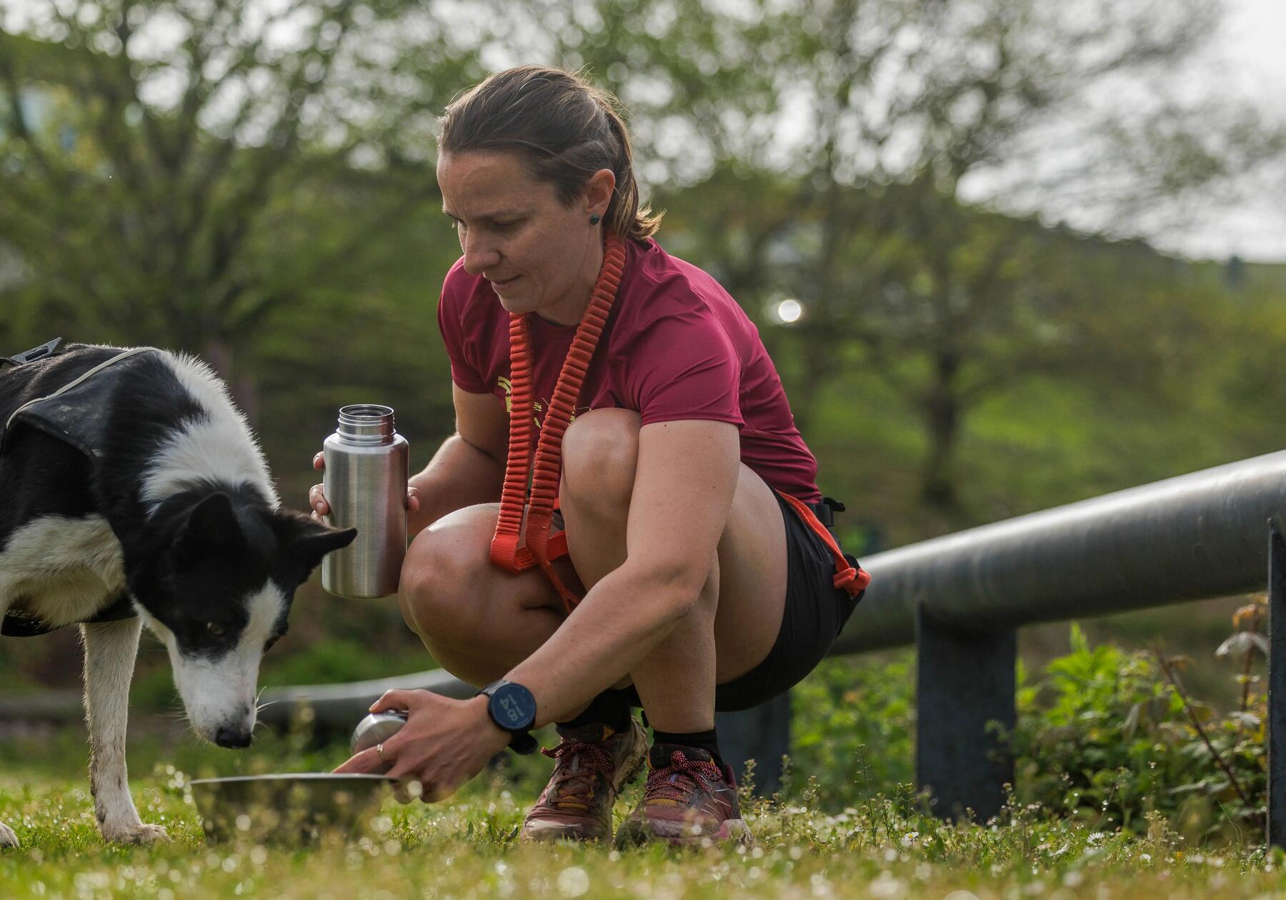 Comment éviter un coup de chaud chez le chien ?