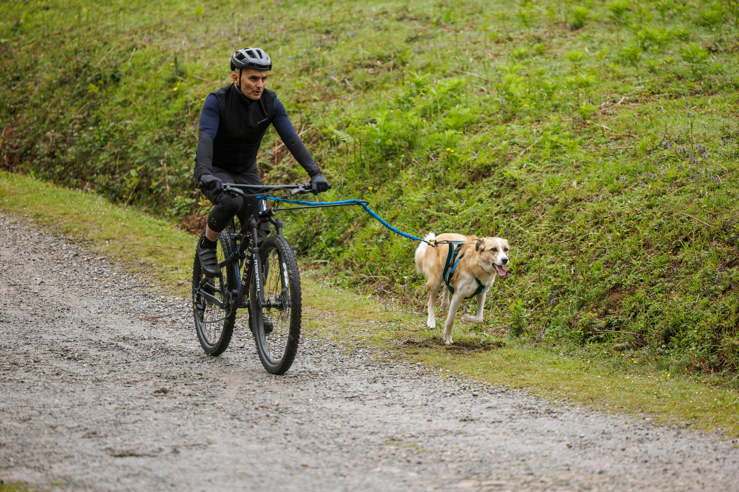 Smycz do bikejoringu Inlandsis Bikejor Leash 2/6