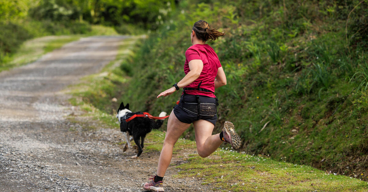 Quelles races de chiens pour pratiquer le canicross