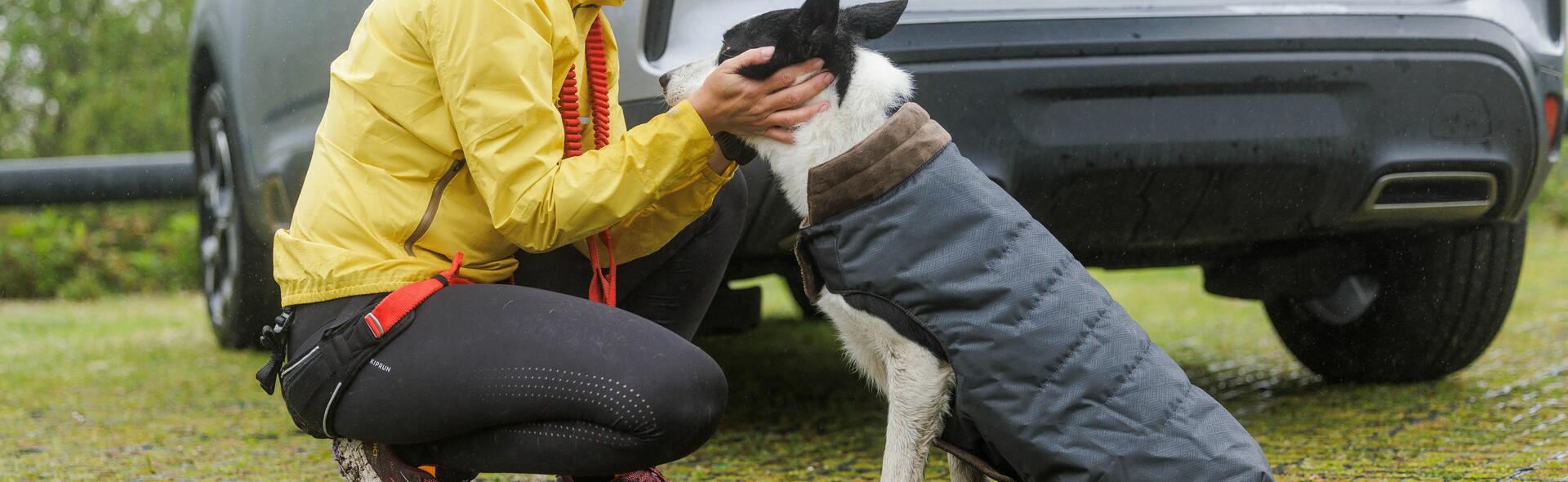 Pratiquer un sport canin en hiver ou quand il fait froid.