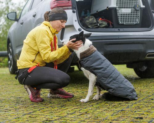 Pratiquer un sport canin en hiver ou quand il fait froid.
