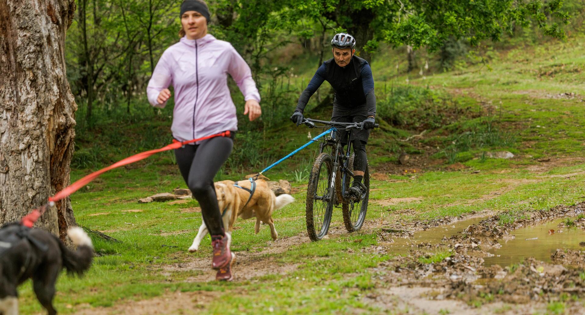 Zawody dogotrekkingu sportowcy z psami na smyczach