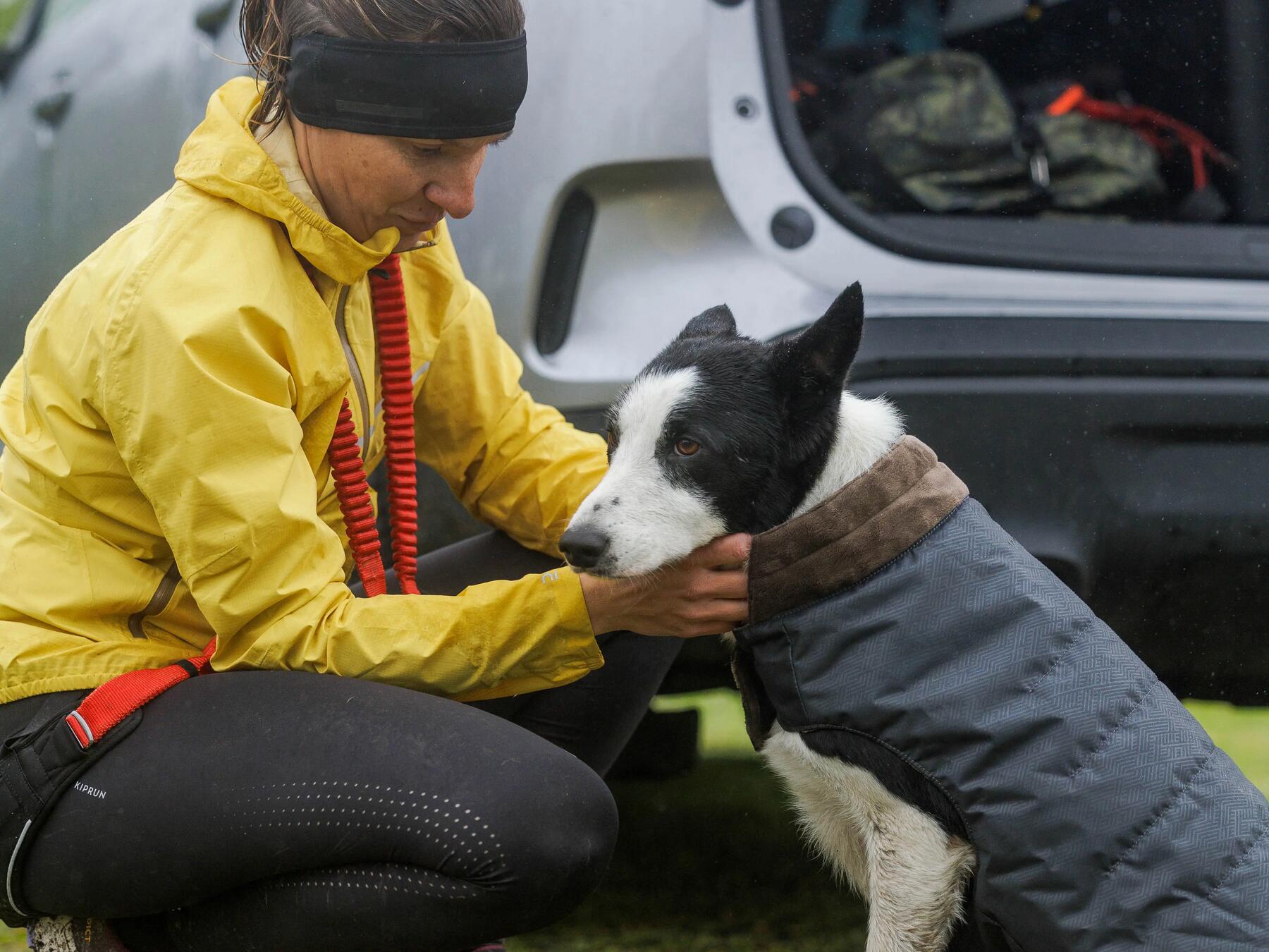 Qué es el canicross y cuáles son los beneficios de correr con tu perro