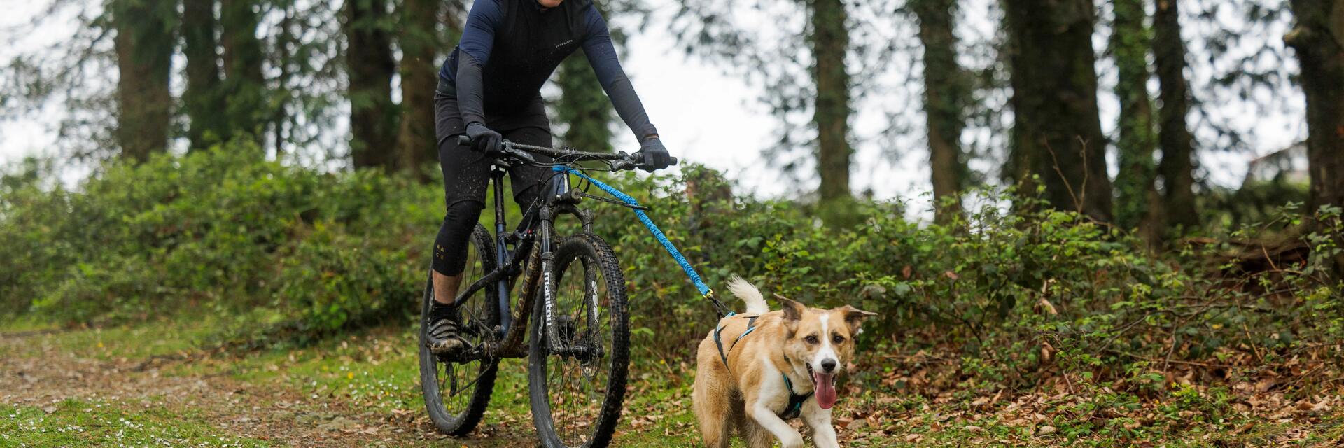 Mężczyzna trenujący z psem bikejoring po lesie