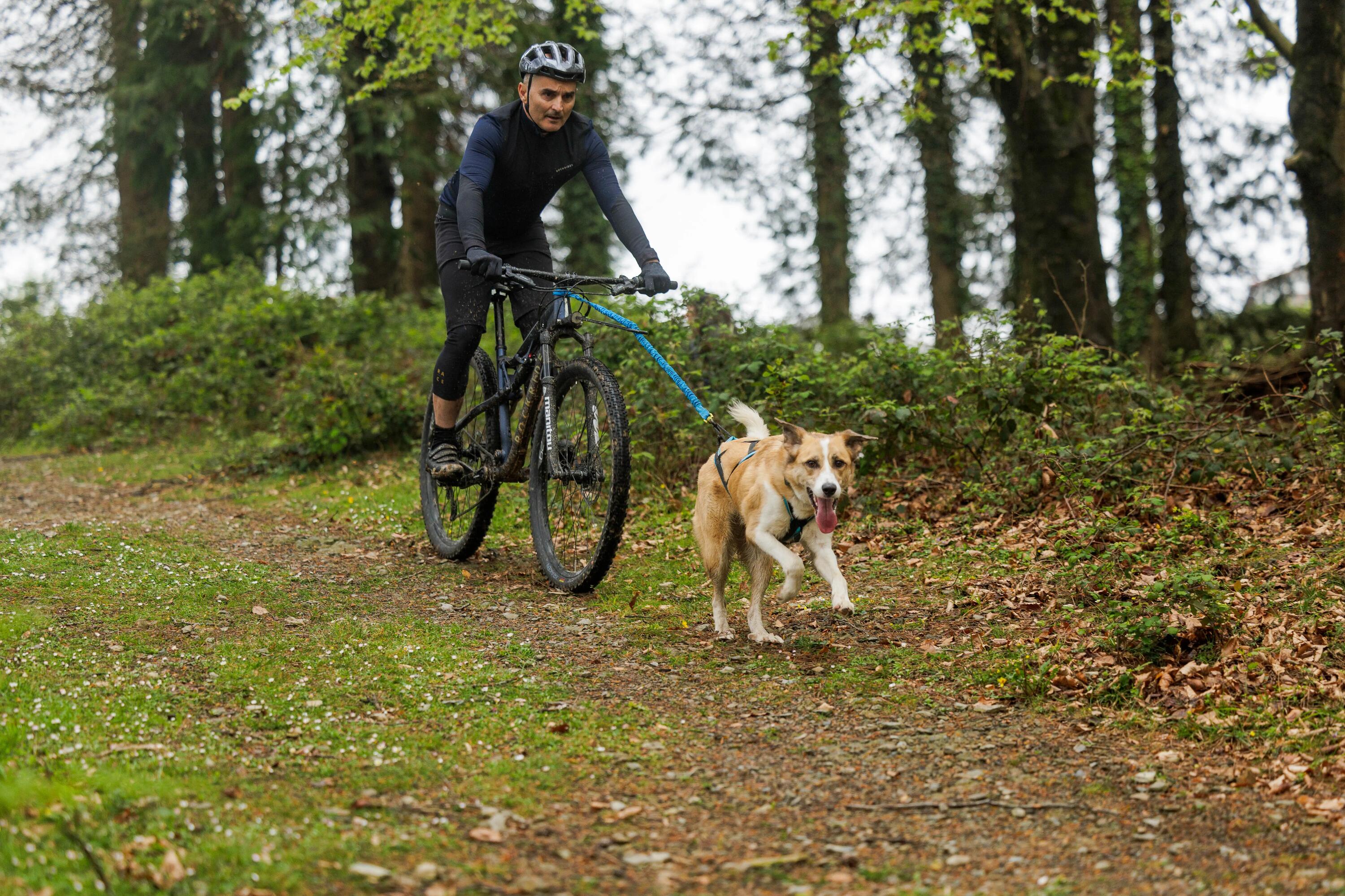 Mężczyzna trenujący z psem bikejoring po lesie