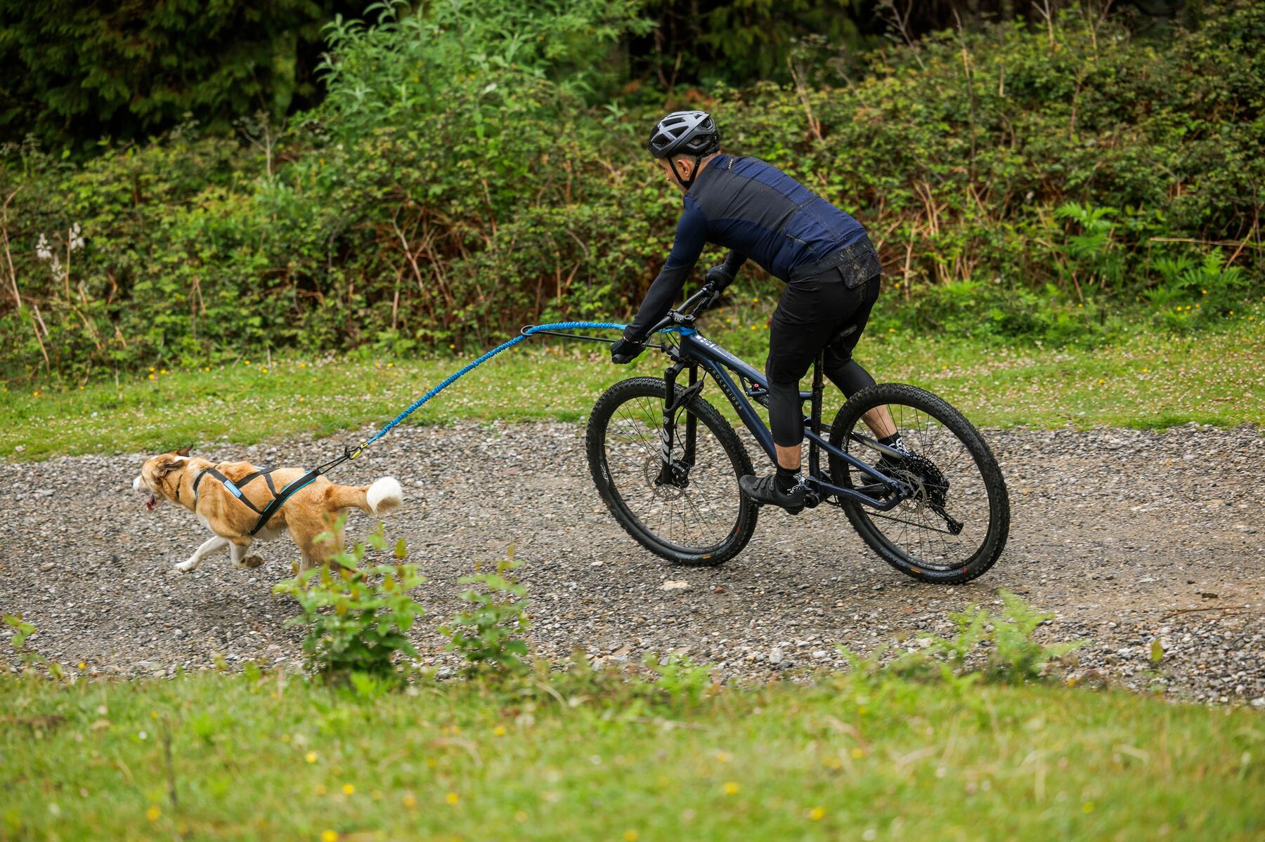 hombre en bicicleta con perro