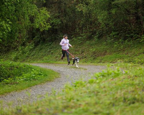6 bonnes raisons de courir avec son chien