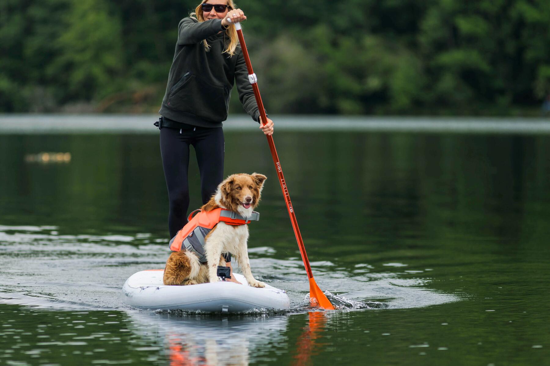 Hund der mit seinem Frauchen auf einem Stand up paddle steht