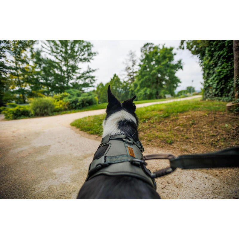 Outdoor Köpek Göğüs Tasması - Avcılık ve Doğa Gözlemi - Haki - 500