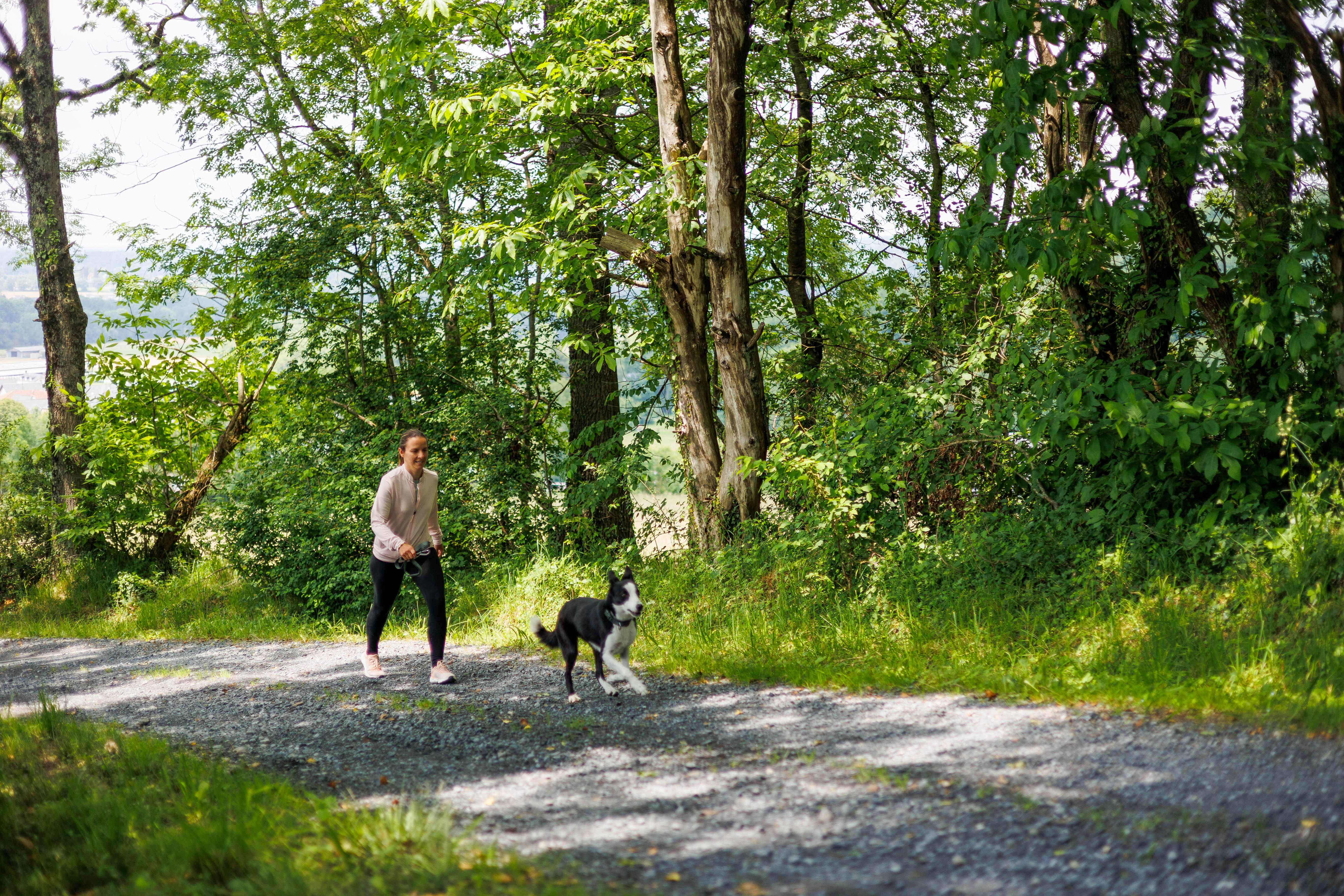 Collier pour chien, Outdoor 500 - CAPERLAN