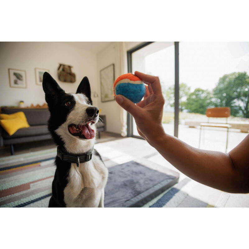 Av Köpeği Boyun Tasması - Haki - Avcılık ve Doğa Gözlemi - 500