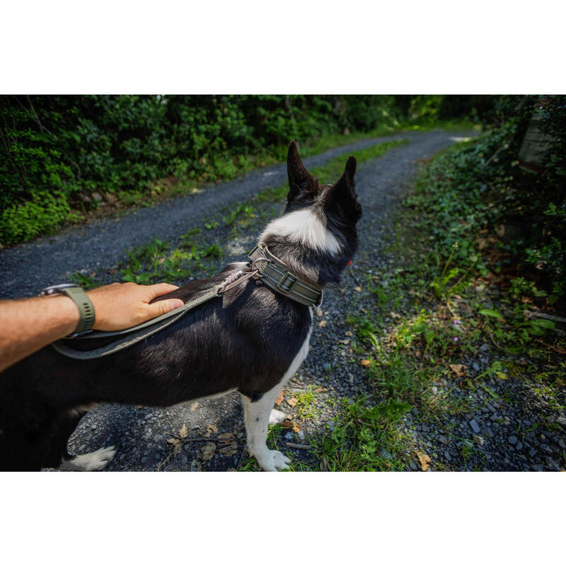 Av Köpeği Boyun Tasması - Haki - Avcılık ve Doğa Gözlemi - 500