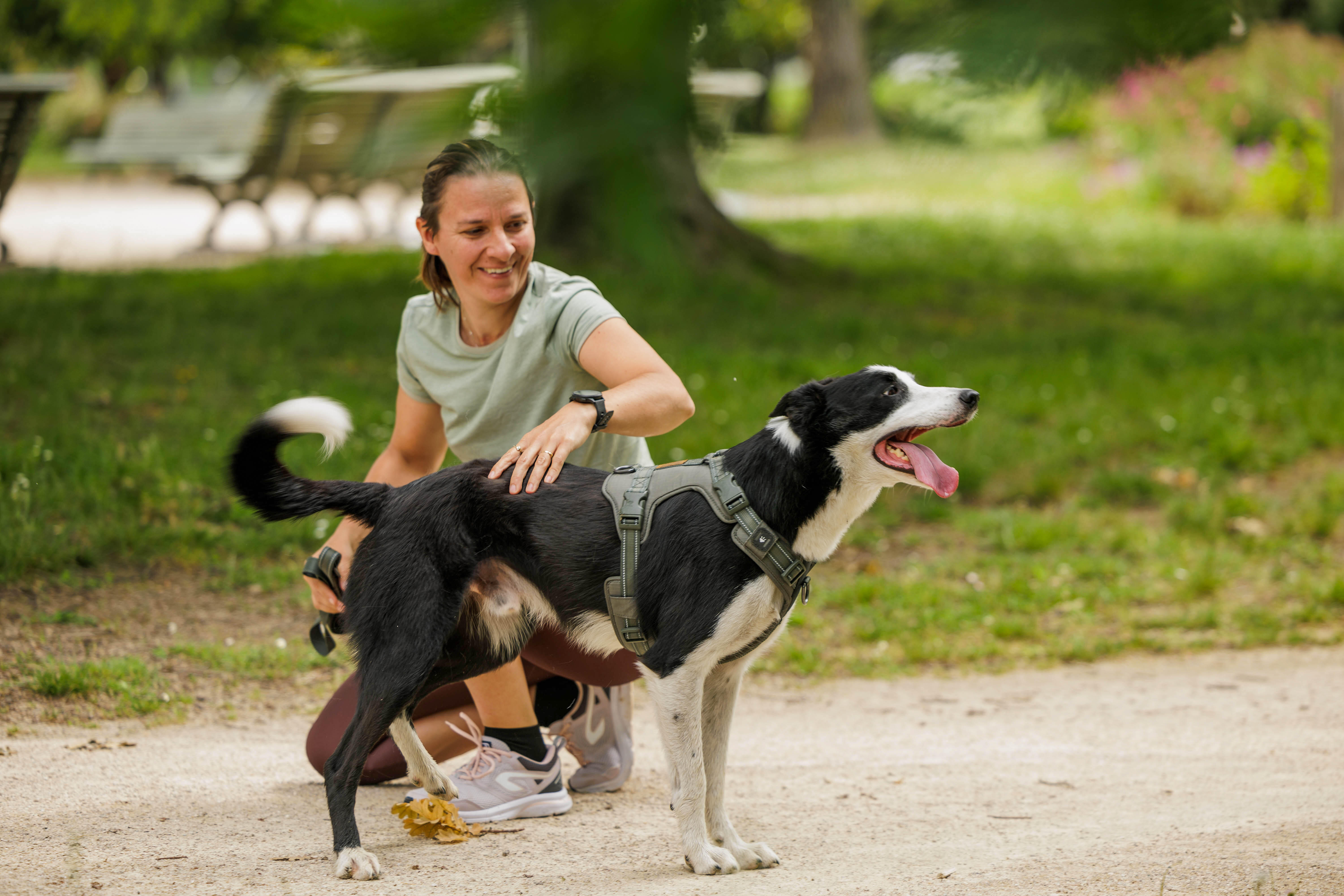 Harnais pour chien, 500 - CAPERLAN