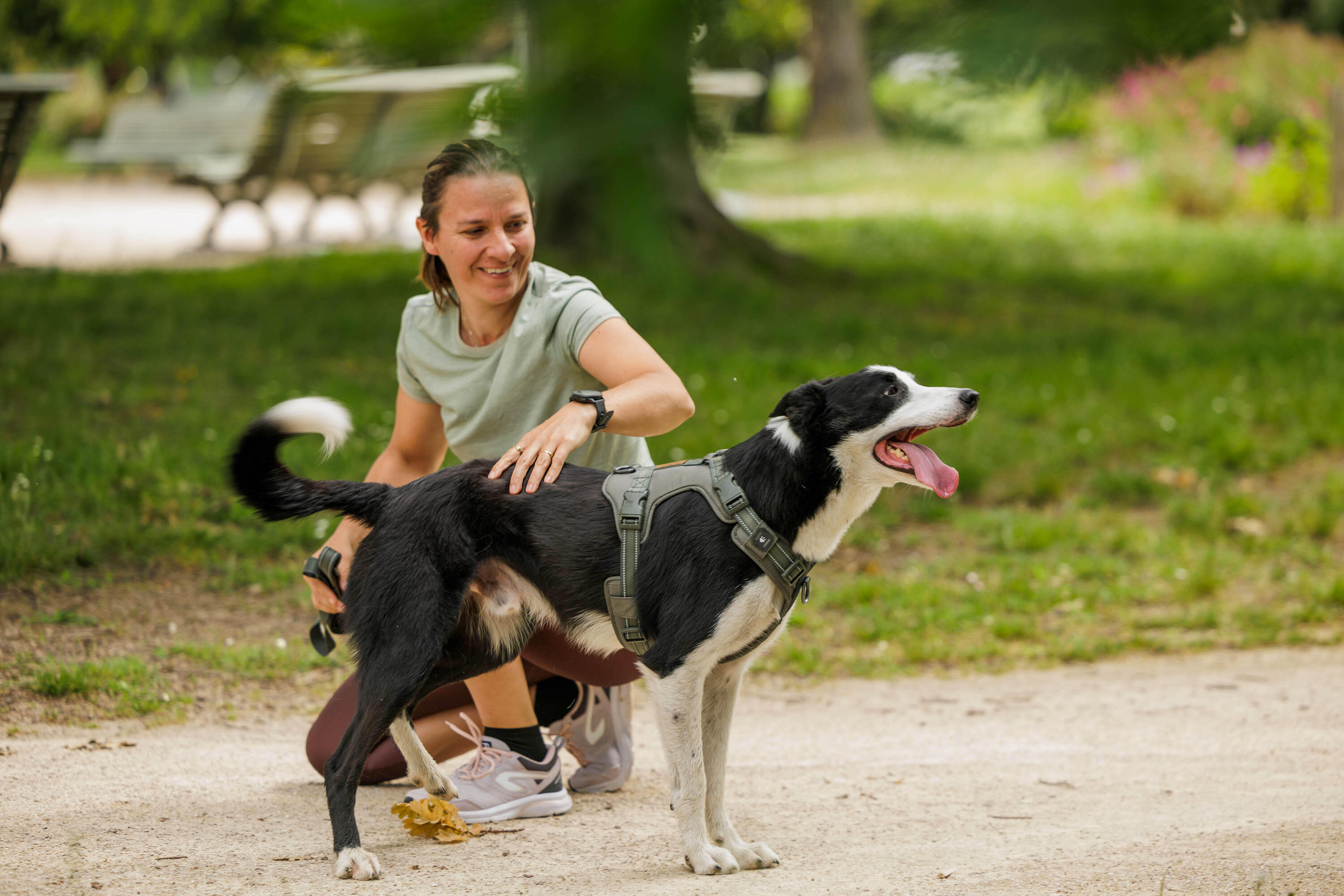 Harnais pour chien, 500 15/22