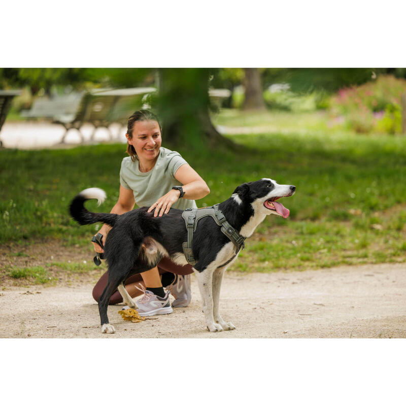 Outdoor Köpek Göğüs Tasması - Avcılık ve Doğa Gözlemi - Haki - 500