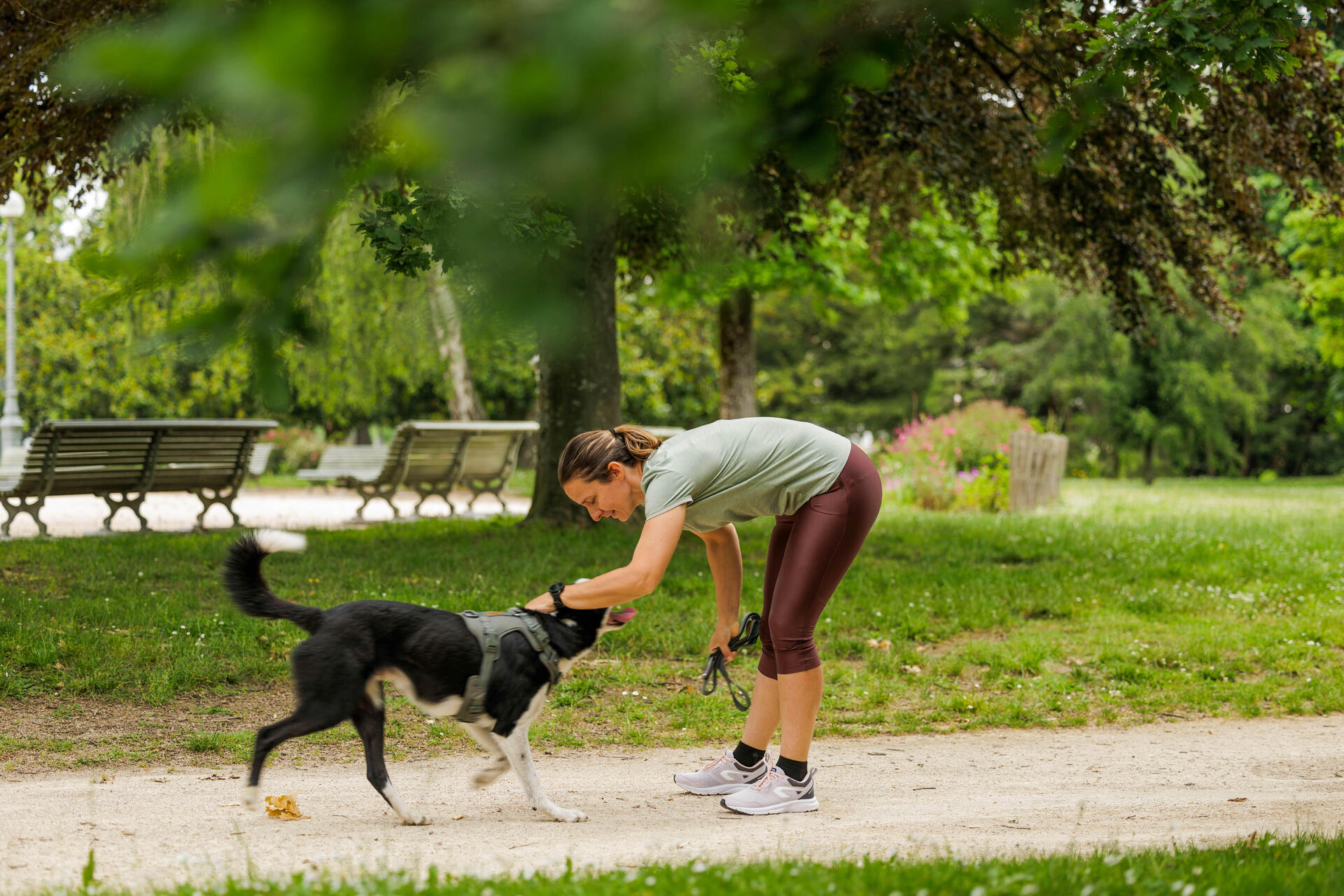 Comment courir avec son chien ? Nos conseils pour débuter