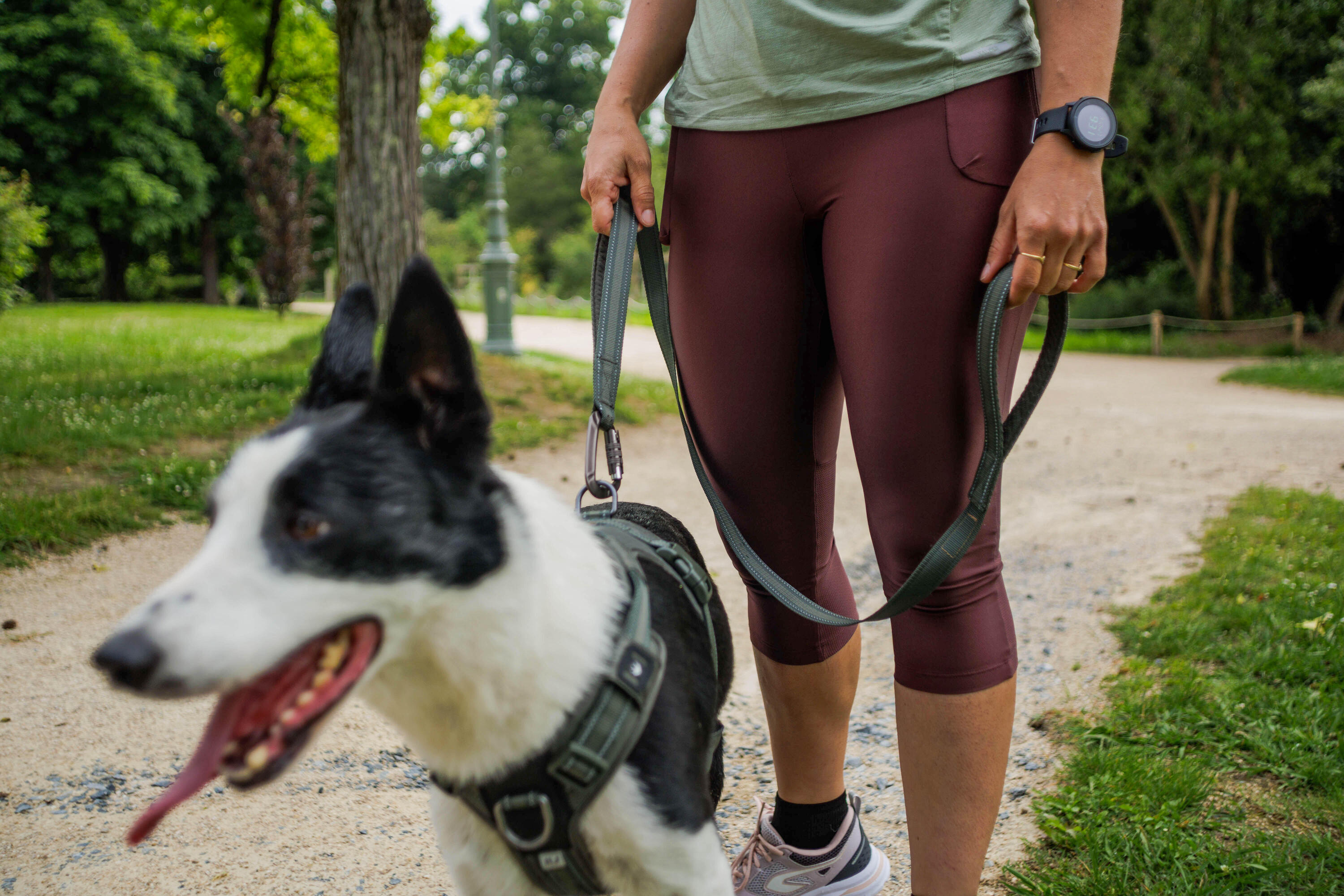 Laisse pour chien, Outdoor 500 5/8