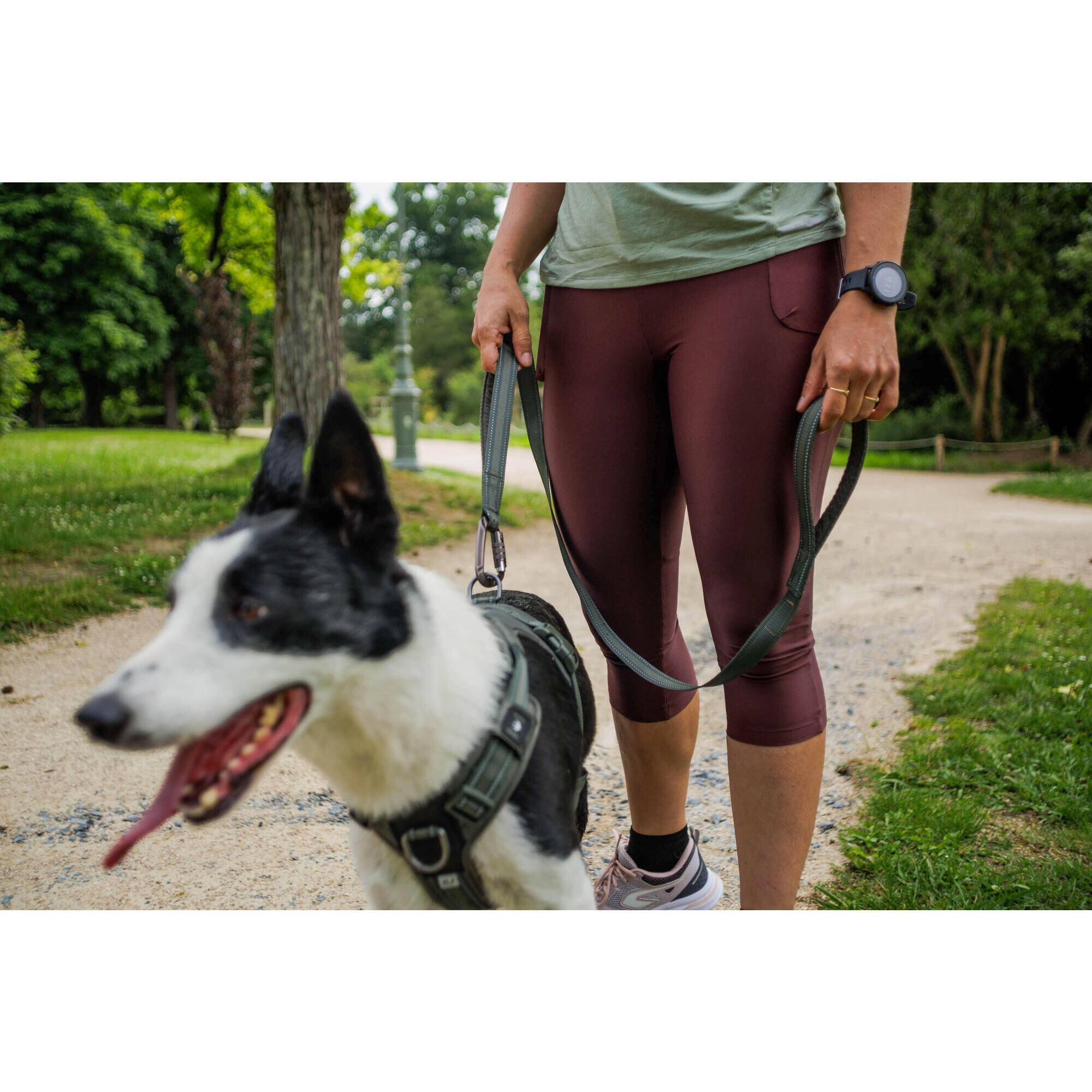 GUINZAGLIO PER CANI OUTDOOR 500 KAKI