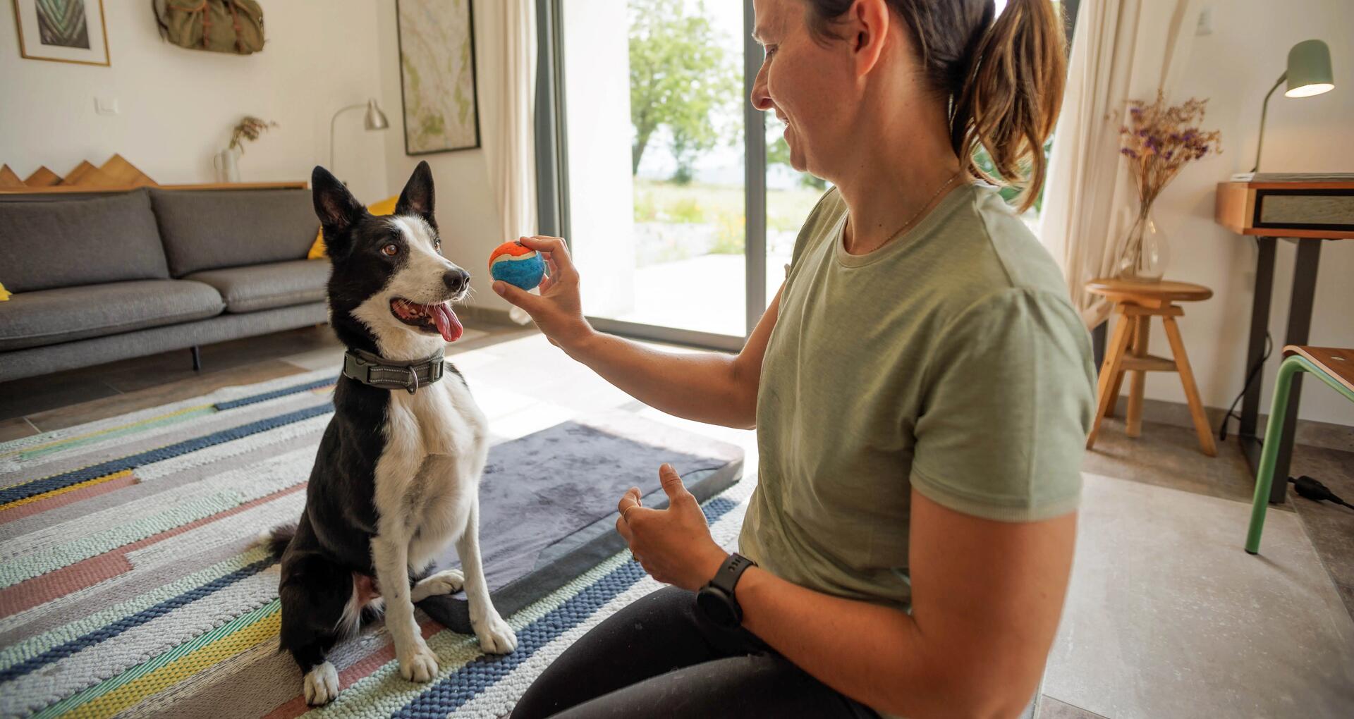 mujer enseñando a perro a sentarse