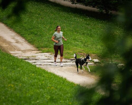 Comment courir avec son chien Nos conseils pour débuter