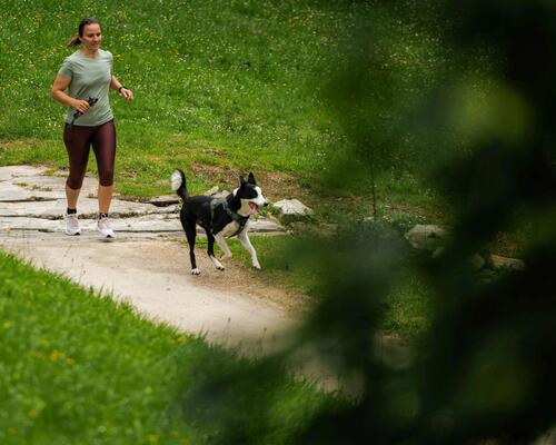 Comment courir avec son chien Nos conseils pour débuter