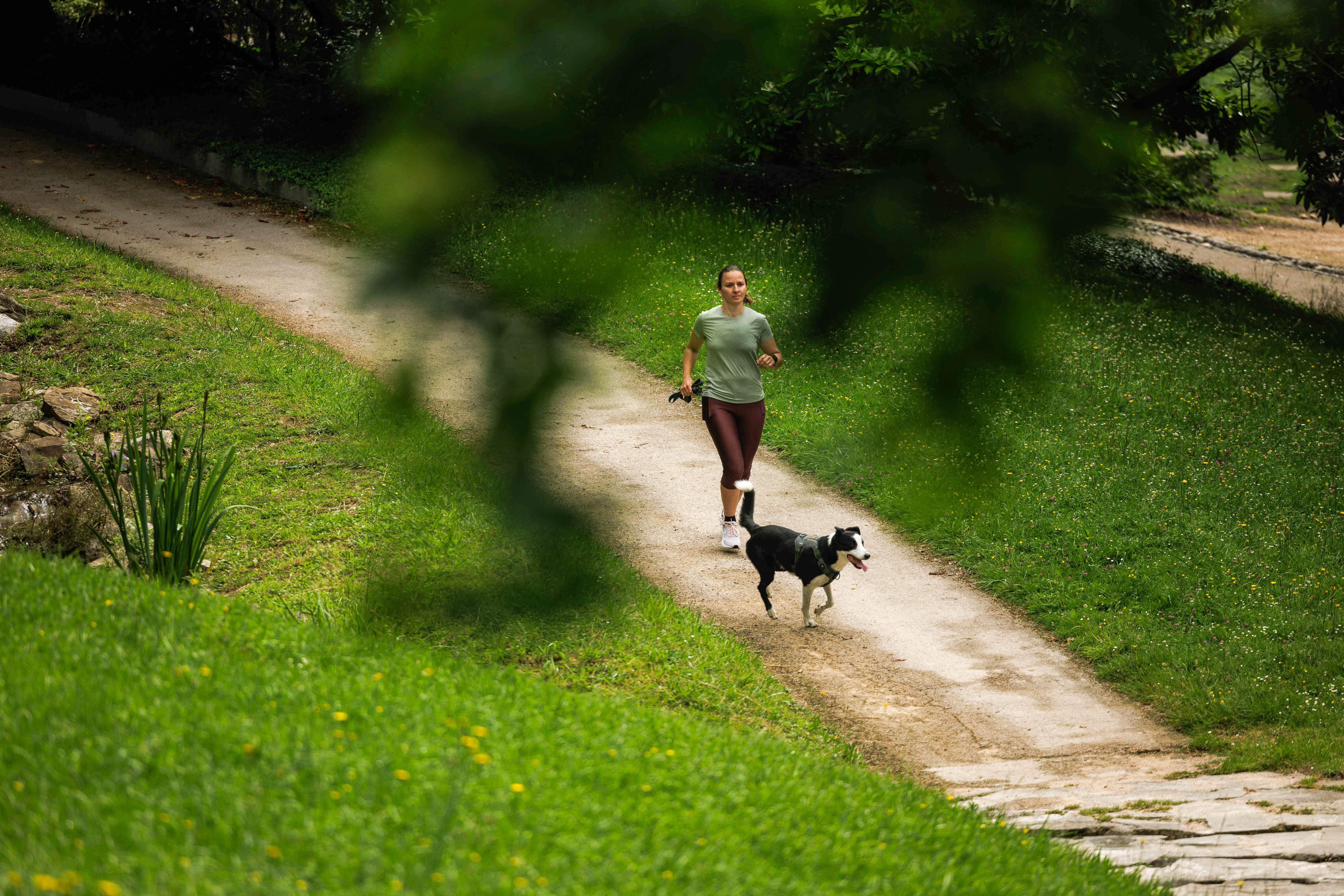 Harnais pour chien, 500 - CAPERLAN